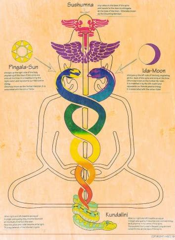 What Is Kundalini Yoga, the Ancient Practice With … - balustradellc