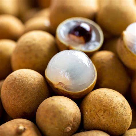 What is Longan and How to Eat It - Foodtasia - raincitystudios.com