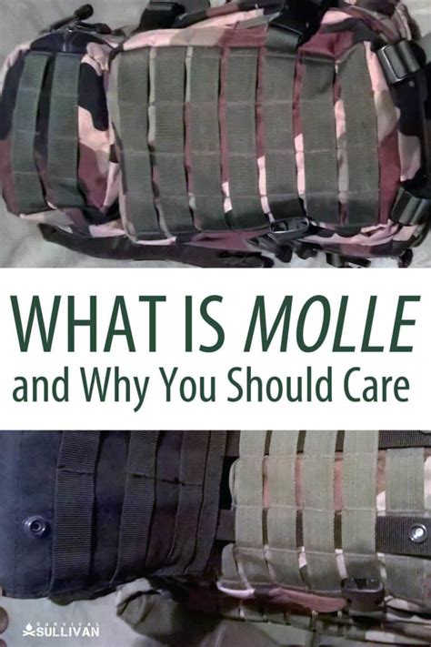 What Is MOLLE and Why You Should Care - Survival … - balustradellc