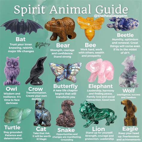 What Is My Spirit Animal: The Ultimate Guide to Discovering Your True ... - balustradellc