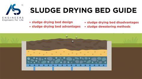 What is sludge drying | Wastewater Digest - raincitystudios.com