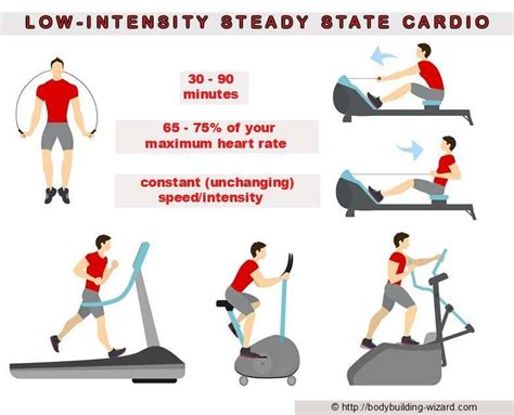 What Is Steady State Cardio and How To Use It - balustradellc