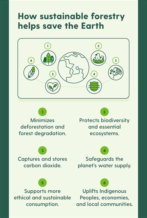 What Is Sustainable Forestry & Selective Harvesting - raincitystudios.com