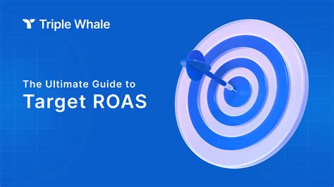 What is Target ROAS & How to Use it Properly in 2024 - coolestguyplanet.net
