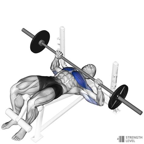 What is the Decline Bench Press & How Do You Do It? - balustradellc