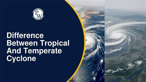 What Is The Difference Between A Temperate - raincitystudios.com