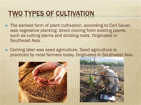 What is the difference between Cultivation Rights … - balustradellc