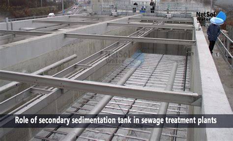What is the Role of secondary sedimentation tank in STP - raincitystudios.com