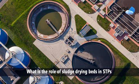 What is the role of sludge drying beds in STPs - Netsol … - raincitystudios.com