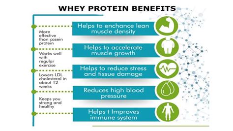 What Is Whey Protein Isolate Good For: Key Benefits - balustradellc