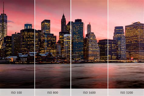 What ISO Means in Photography | Insta360 Blog - balustradellc