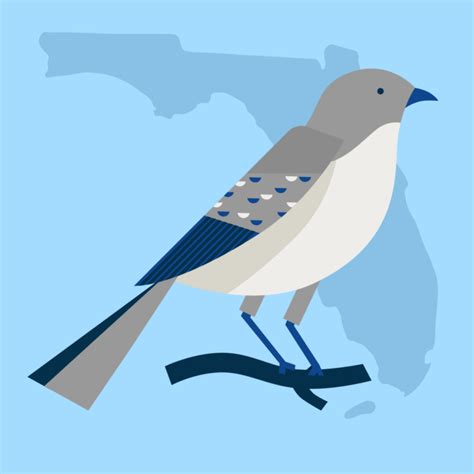 What it Takes to Become a Lawyer in Florida | Clio - balustradellc