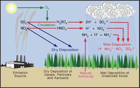 What Natural Factors Affect The Deposition Of Acid Rain - wintechmobiles.com