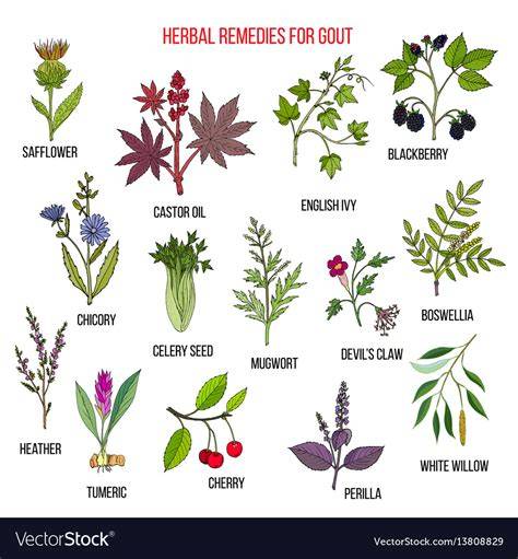 What Natural Herbs Help With Gout - raincitystudios.com