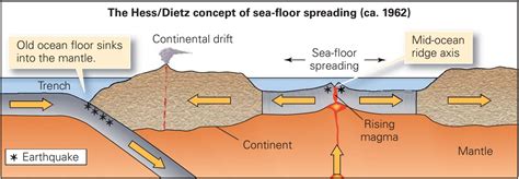What process did Harry Hess discover from mapping the ocean floor ... - wintechmobiles.com