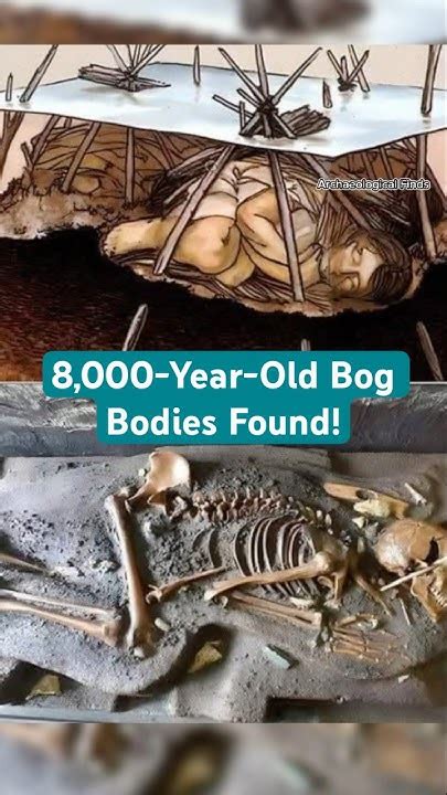 What the Ancient Bog Bodies Knew - The New York … - wintechmobiles.com