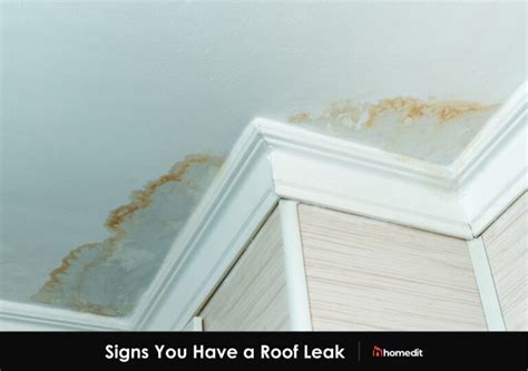 What To Do If You Have A Leaking Roof | Checkatrade - balustradellc