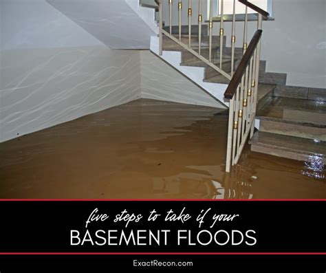 What to do if your basement has flooded - City of Ottawa - balustradellc