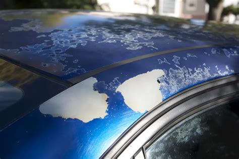 What to Do If Your Car Paint Is Chipping: Steps to ... - Paint Loving - balustradellc