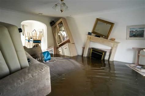 What to Do if Your Home is Flooded - balustradellc