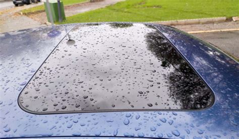 What to Do If Your Sunroof Leaks - Taylor Auto Glass - balustradellc