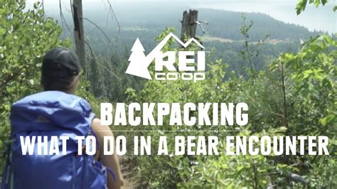What to do in a Bear Encounter (And How to Avoid One) || REI - balustradellc