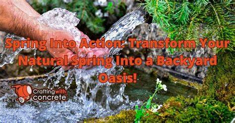 What To Do With A Natural Spring On Your Property - raincitystudios.com