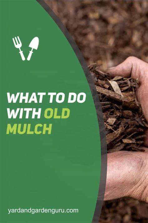 What to Do With Old Mulch in Spring - The Spruce - raincitystudios.com