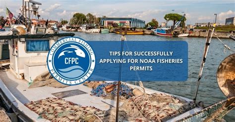 What to Know About Licensing and Permits in Commercial Fisheries - balustradellc