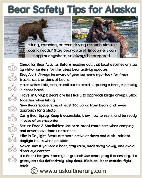What to Know About Staying Safe Around Bears - balustradellc