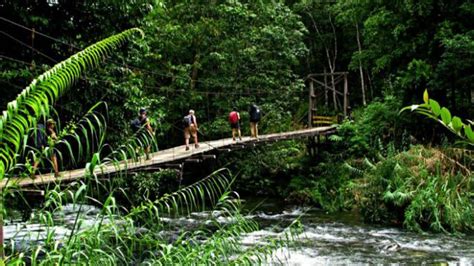 What to pack: trekking through Borneo's rainforests - balustradellc