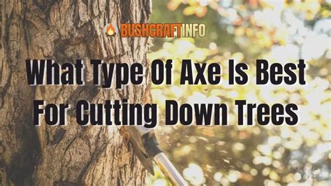 What Type Of Axe Is Best For Cutting Down Trees - balustradellc