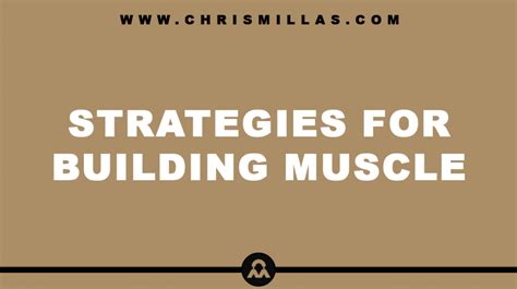 What You Need to Know About How to Build Muscle - balustradellc