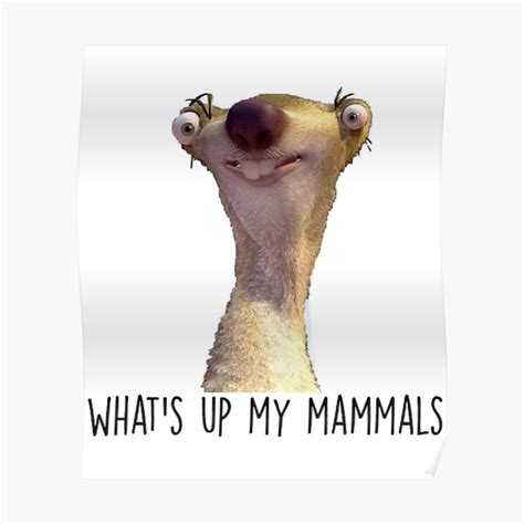 Whats up my mammals! #sid #dothedrift - muktibox.com