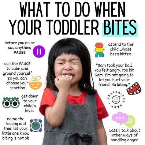 When a Toddler Bites. How to handle the biter and the victim - balustradellc