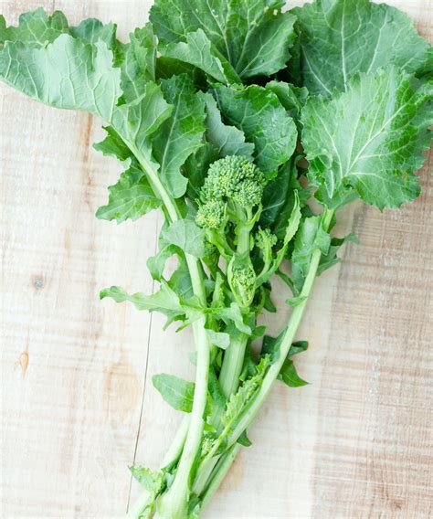 When and how to harvest broccoli rabe - Homes and … - balustradellc