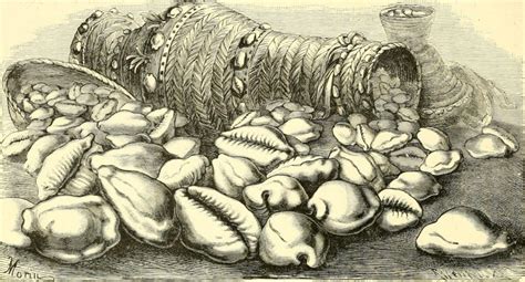 When Seashells Were Money - Messy Nessy Chic - wintechmobiles.com