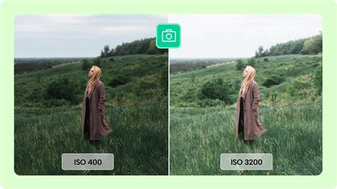 When to Use a High ISO (+ Tips for High-ISO … - balustradellc