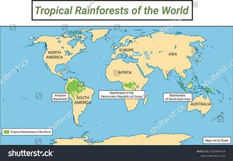 Where in the world is there potential for tropical-forest … - raincitystudios.com
