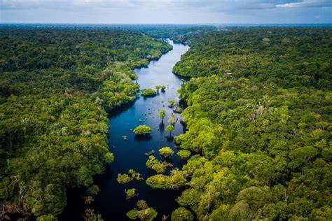 Where to go on a rainforest holiday - Responsible Travel - raincitystudios.com