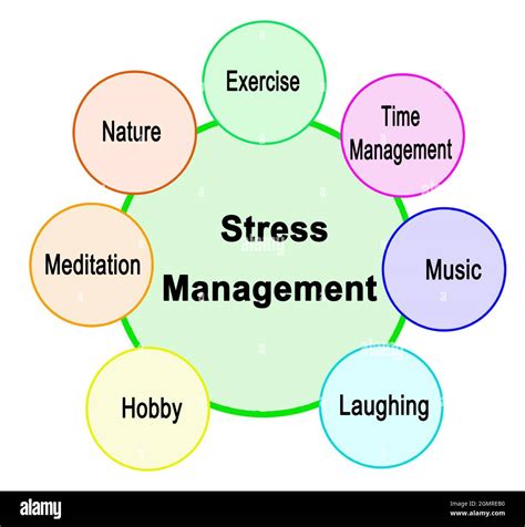 Where to Purchase Stress Management Tools for Employees - balustradellc