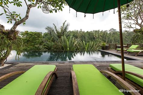 Where To Stay In Ubud Culture Trip - balustradellc