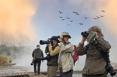 Where to watch birds and wildlife in - raincitystudios.com