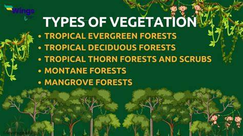 Which one of the following types of vegetation is referred ... - Vedantu - muktibox.com