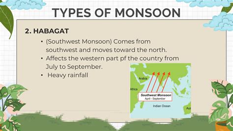 Which one of the following types of vegetation is referred as Monsoon ... - muktibox.com