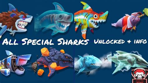 Whirlpools are hotspots for hungry sharks - The Company of Biologists - raincitystudios.com