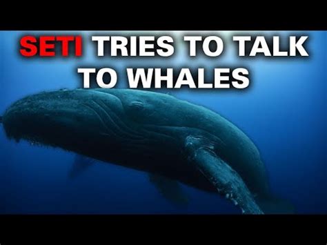 Whisperers of whales wander: A directional statistical investigation of ... - muktibox.com