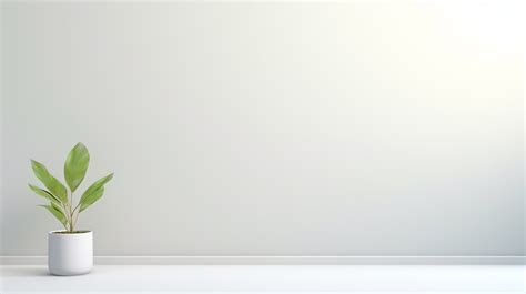 White Background Product Photography Tutorial - balustradellc