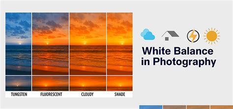 White Balance: An Ultimate Guide to Color-Correcting Photos - balustradellc