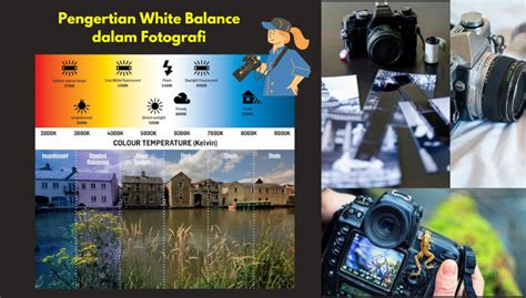 WHITE BALANCE : Mengatur Warna Foto Pada Kamera - balustradellc
